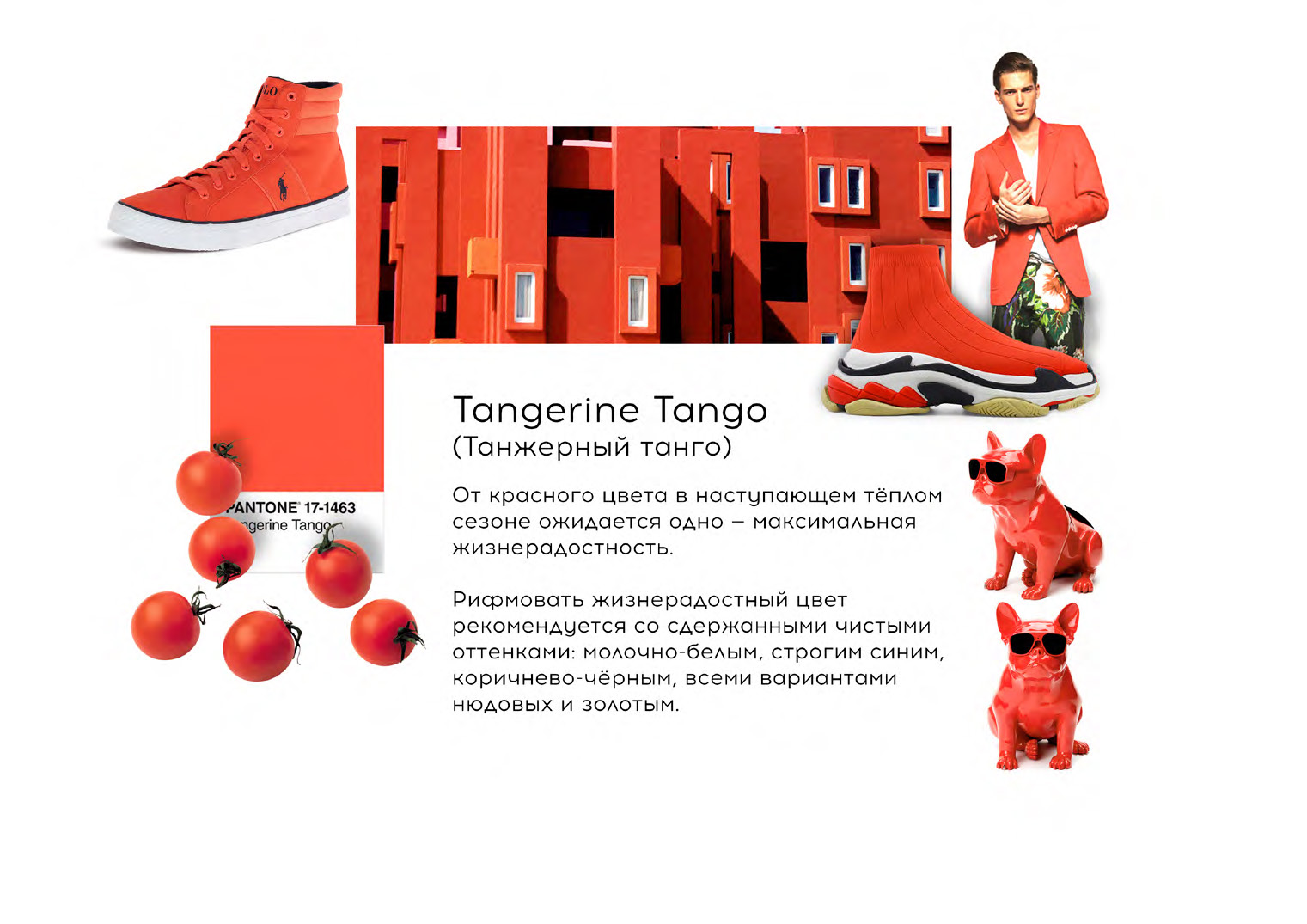 Тренды Весна-Лето 2019-20